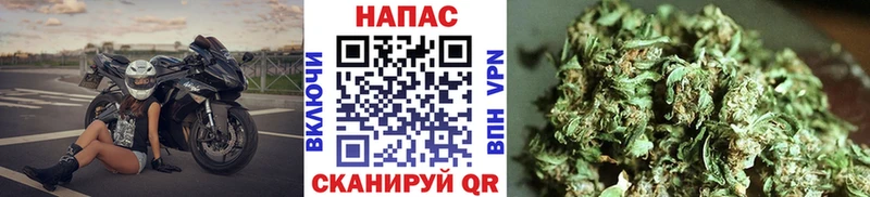 Гашиш Коммунар