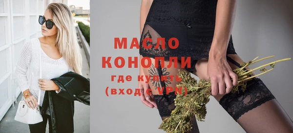spice Богородицк