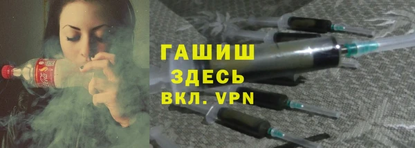 твердый Новозыбков