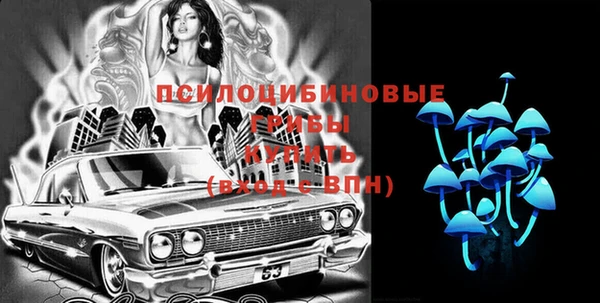 дмт Богородск