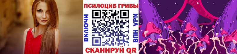 Псилоцибиновые грибы Psilocybine cubensis  Купить  Коммунар 